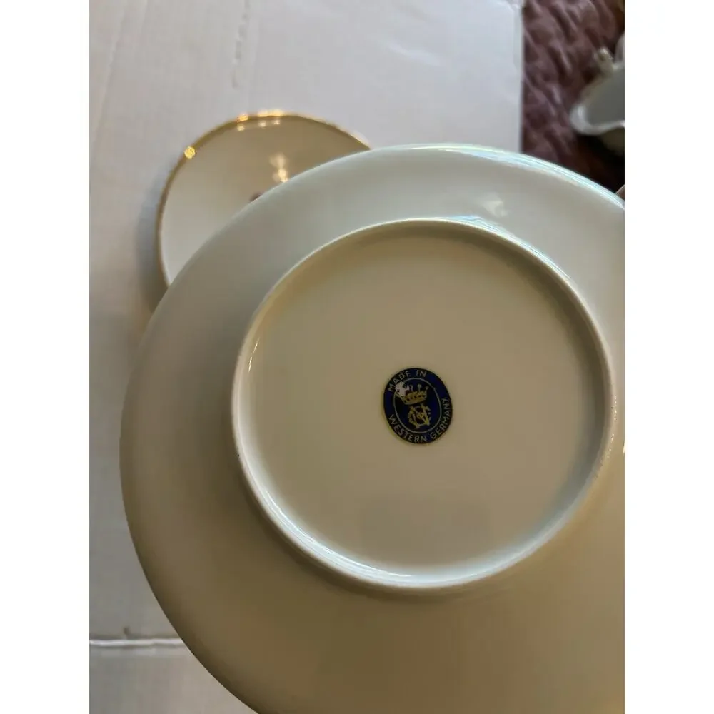Vtg PORZELLANFABRIK ARZBERG Set Of 2 FRUIT 8” PLATES Wall Bone China Gold Rim